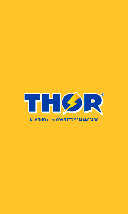 Thor